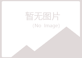 偃师映之咨询有限公司